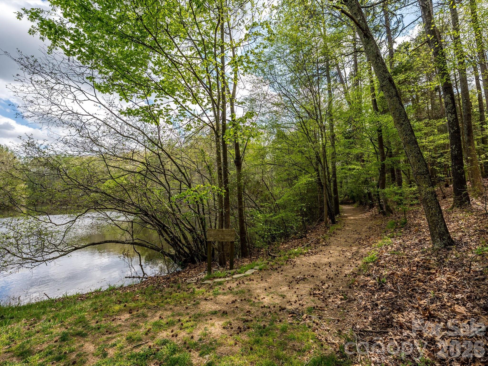 13417 Scanlan Way Davidson, NC 28036 - Photo 48 of 48 a view of backyard with green space