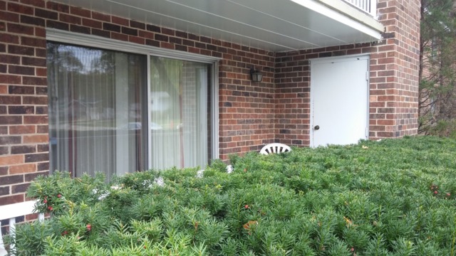 1104 Springinsguth Road, Unit 1B Schaumburg, IL 60193 - Photo 2 of 11 a view of a house with a yard