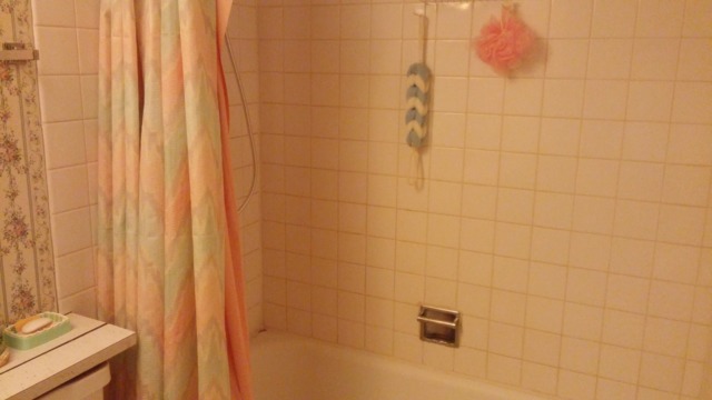 1104 Springinsguth Road, Unit 1B Schaumburg, IL 60193 - Photo 10 of 11 a bathroom with a shower