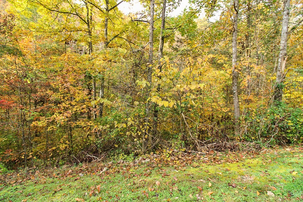85 Smoky Cove Road Sevierville, TN 37876 - Photo 7 of 25 a view of a yard of a building