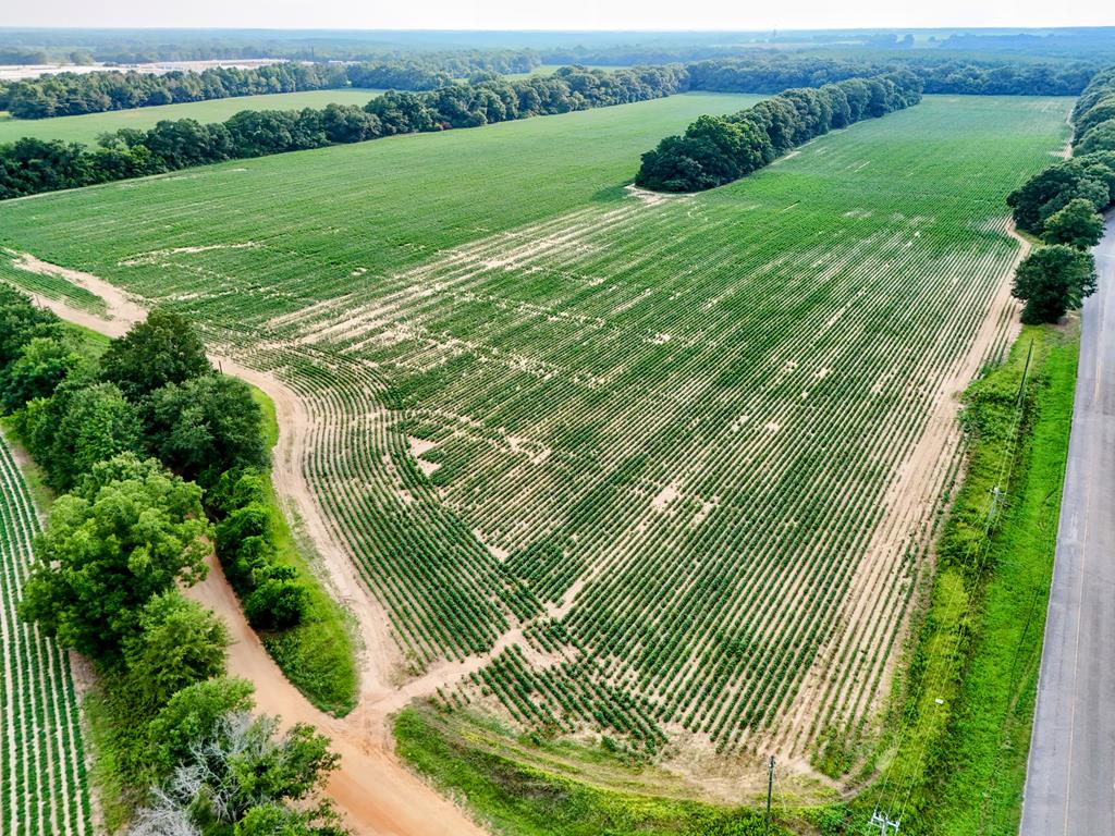 25 & Barrington Road Midland City, AL 36350 - Photo 3 of 21