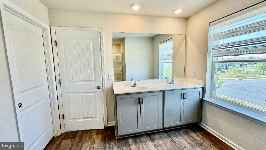 1236 Pimpernell Path Middletown, DE 19709 - Photo 15 of 37 a bathroom with a sink and a mirror