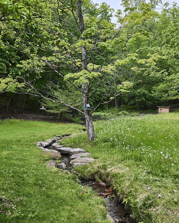 39 Laurel Mountain Road Haydenville, MA 01039 - Photo 34 of 42 a backyard of a house with lots of green space
