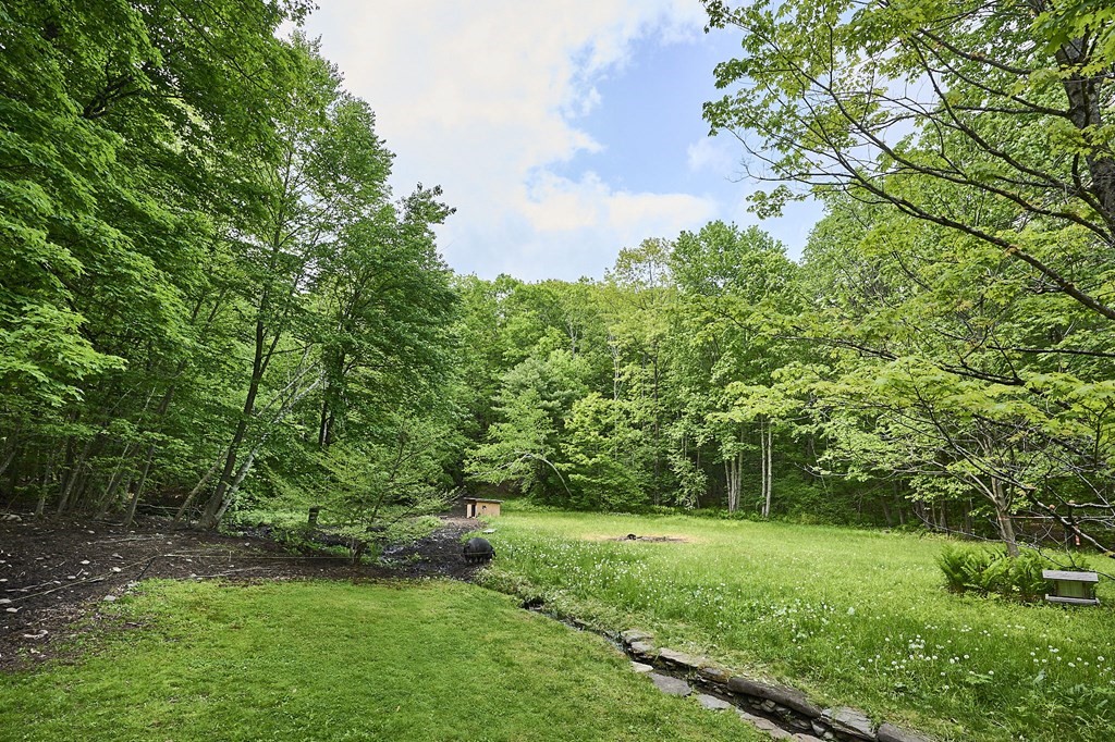 39 Laurel Mountain Road Haydenville, MA 01039 - Photo 35 of 42 a view of a lush green space