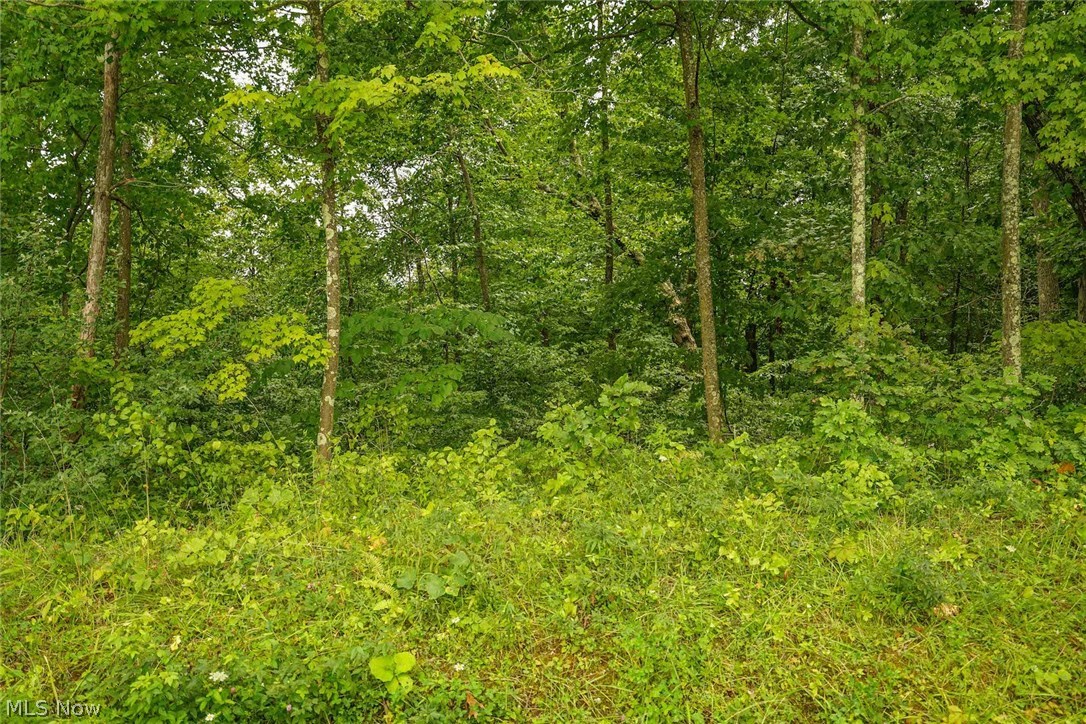 Dyes Ridge Road New Matamoras, OH 45767 - Photo 2 of 19 Gallery Image 2