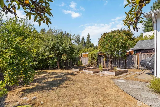 a view of a backyard with plants