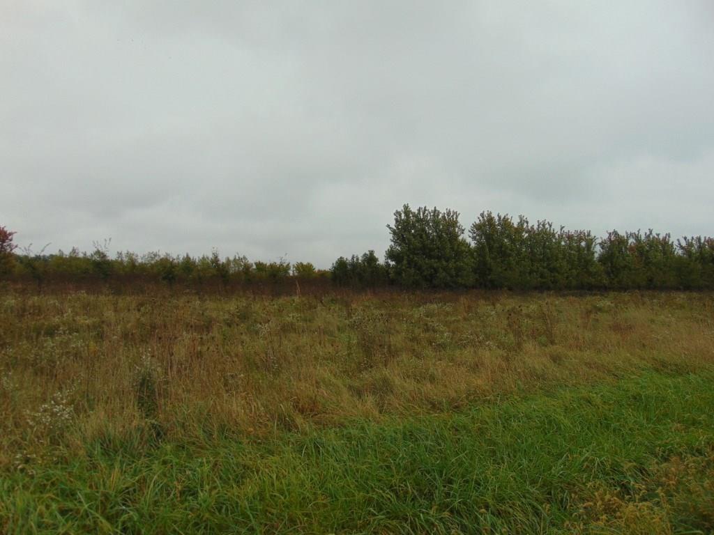 0 State Rte 703 St. Marys, OH 45885 - Photo 5 of 7
