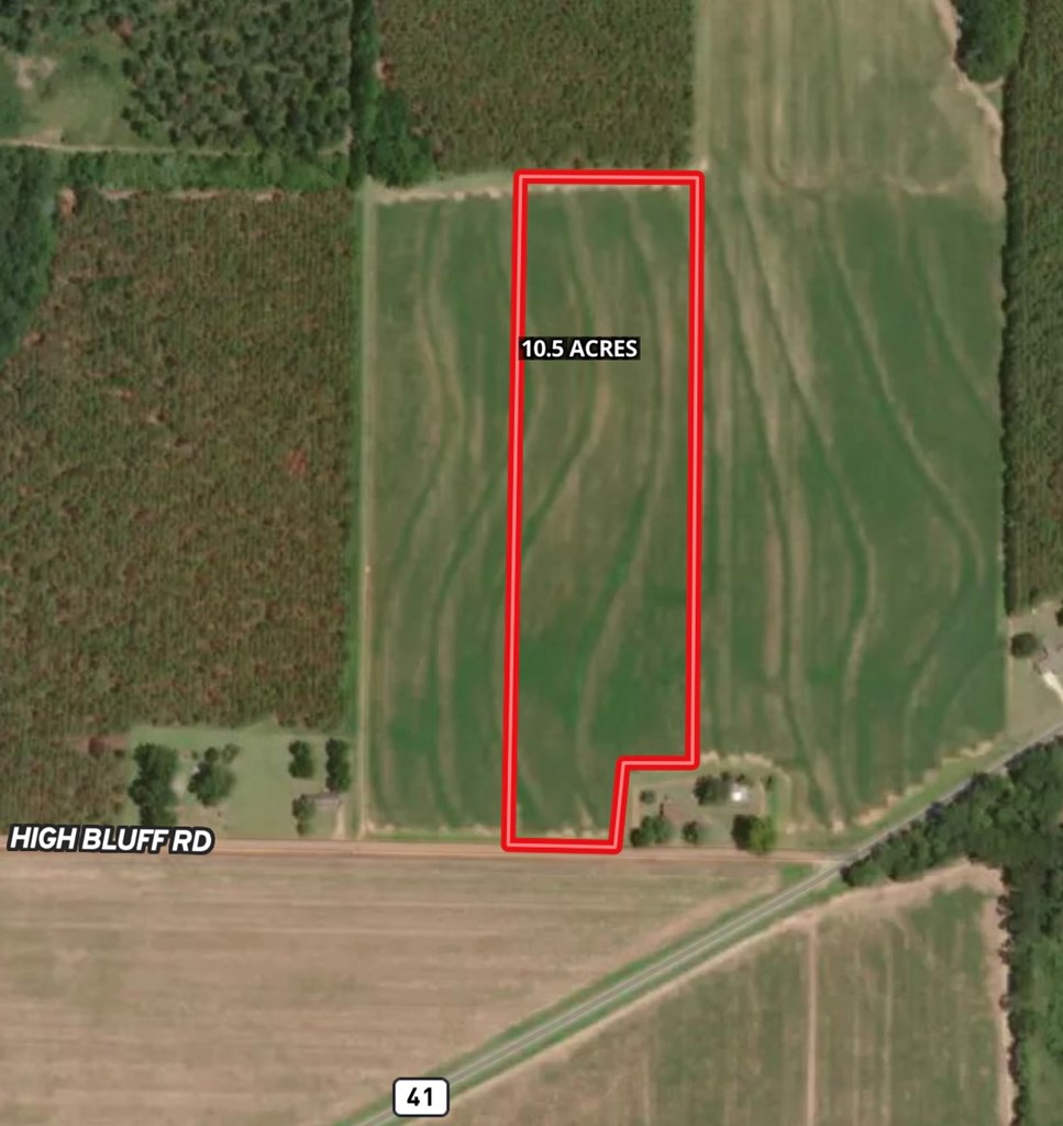 10.5-acres High Bluff Road Hartford, AL 36344 - Photo 8 of 8