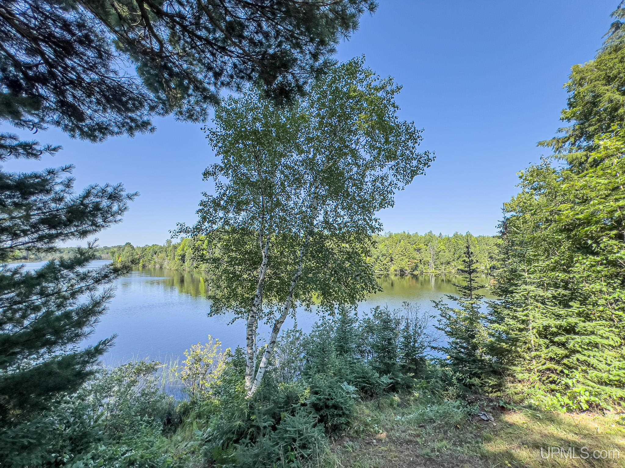 Tbd Tbd Chaney Lake Road Bessemer, MI 49911 - Photo 3 of 22