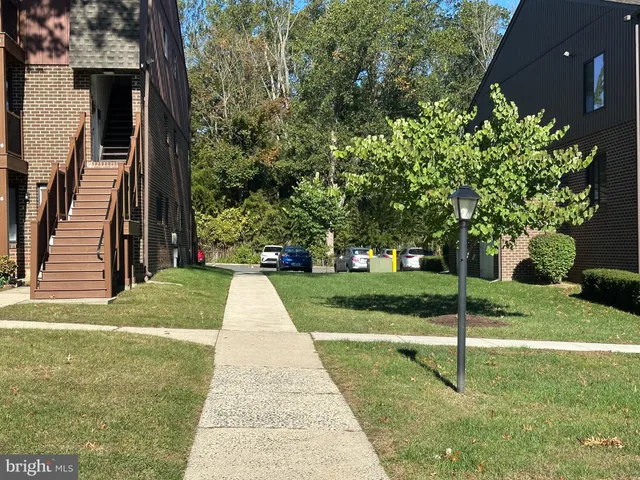 a view of a park with entertaining space