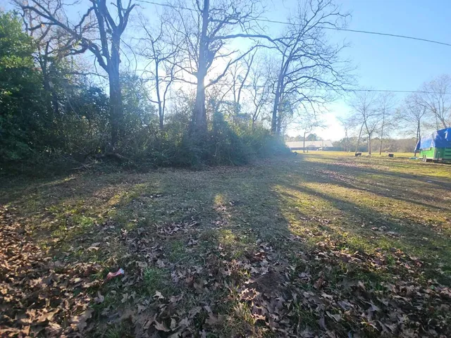 a view of a yard with a tree