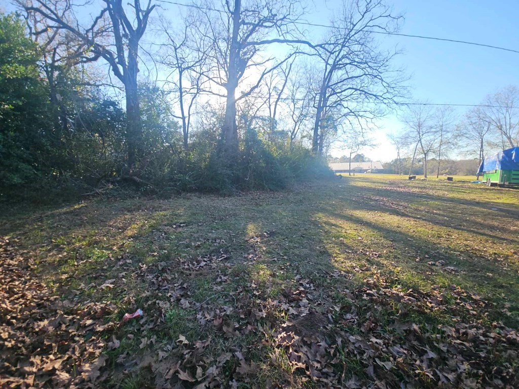210 Madison Street Lufkin, TX 75901 - Photo 5 of 9 a view of a yard with a tree