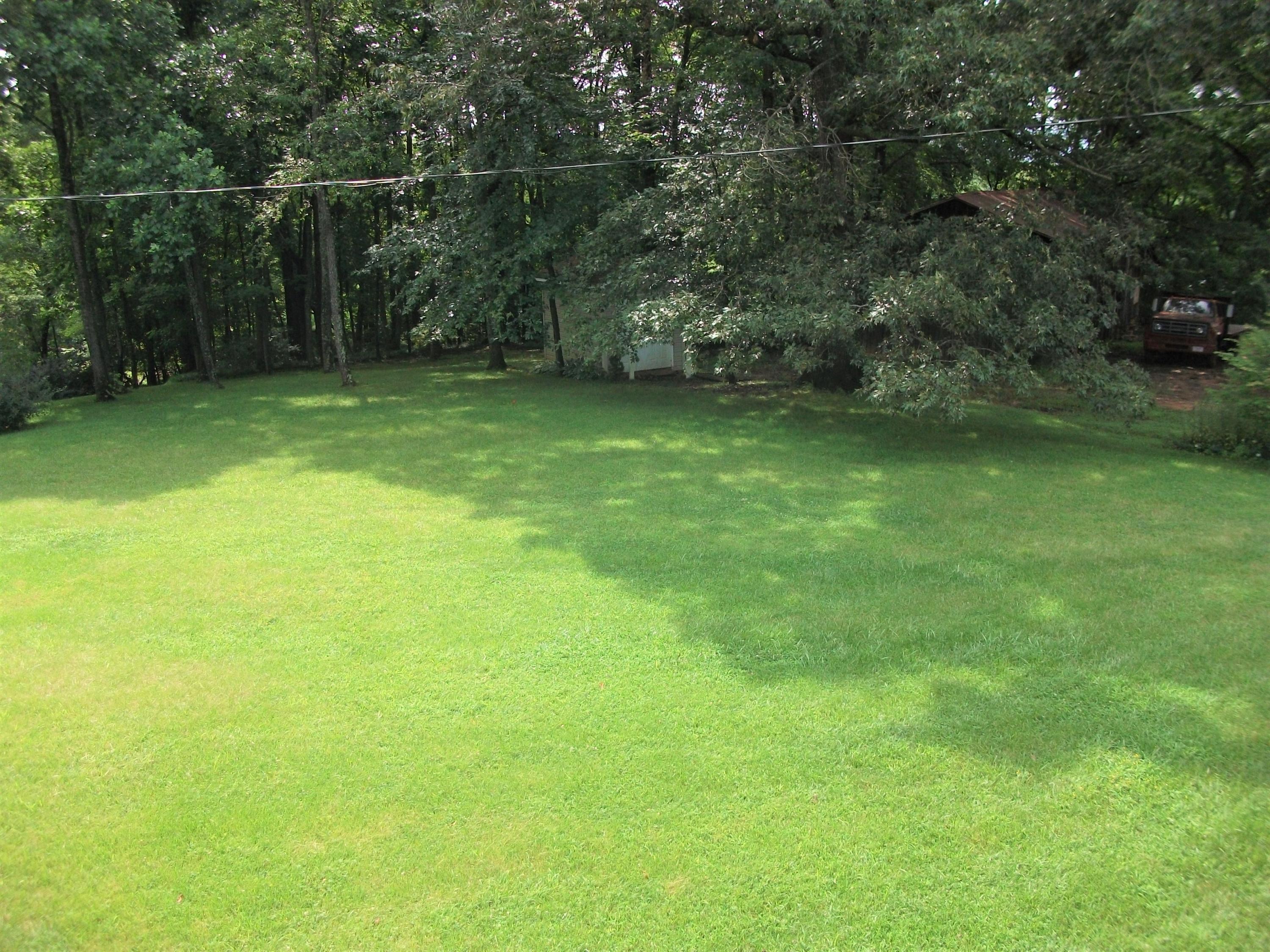 1958 Truevine Road Penhook, VA 24137 - Photo 38 of 45 a view of a green field with a tree