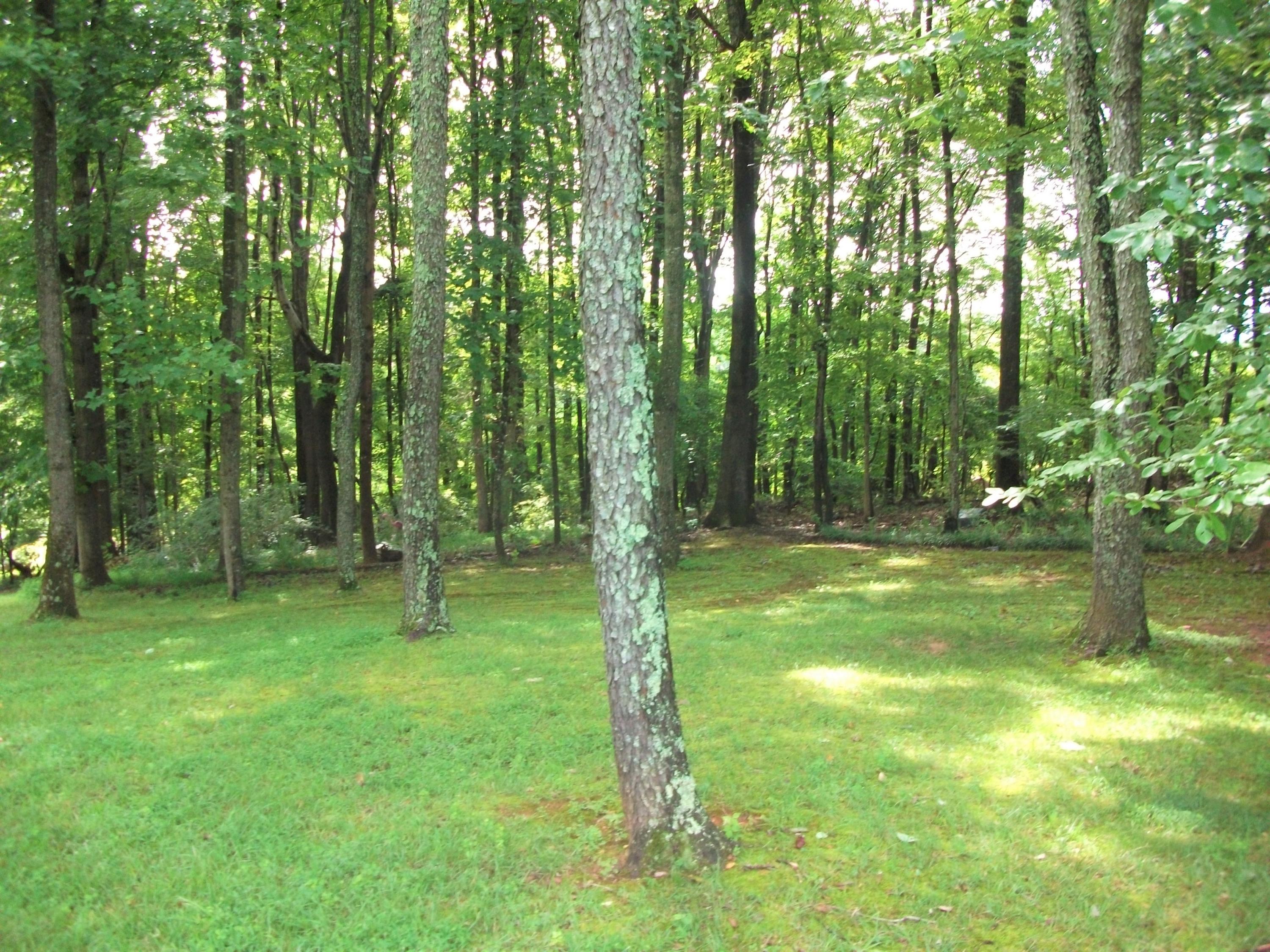 1958 Truevine Road Penhook, VA 24137 - Photo 41 of 45 a backyard of a house with lots of green space and trees