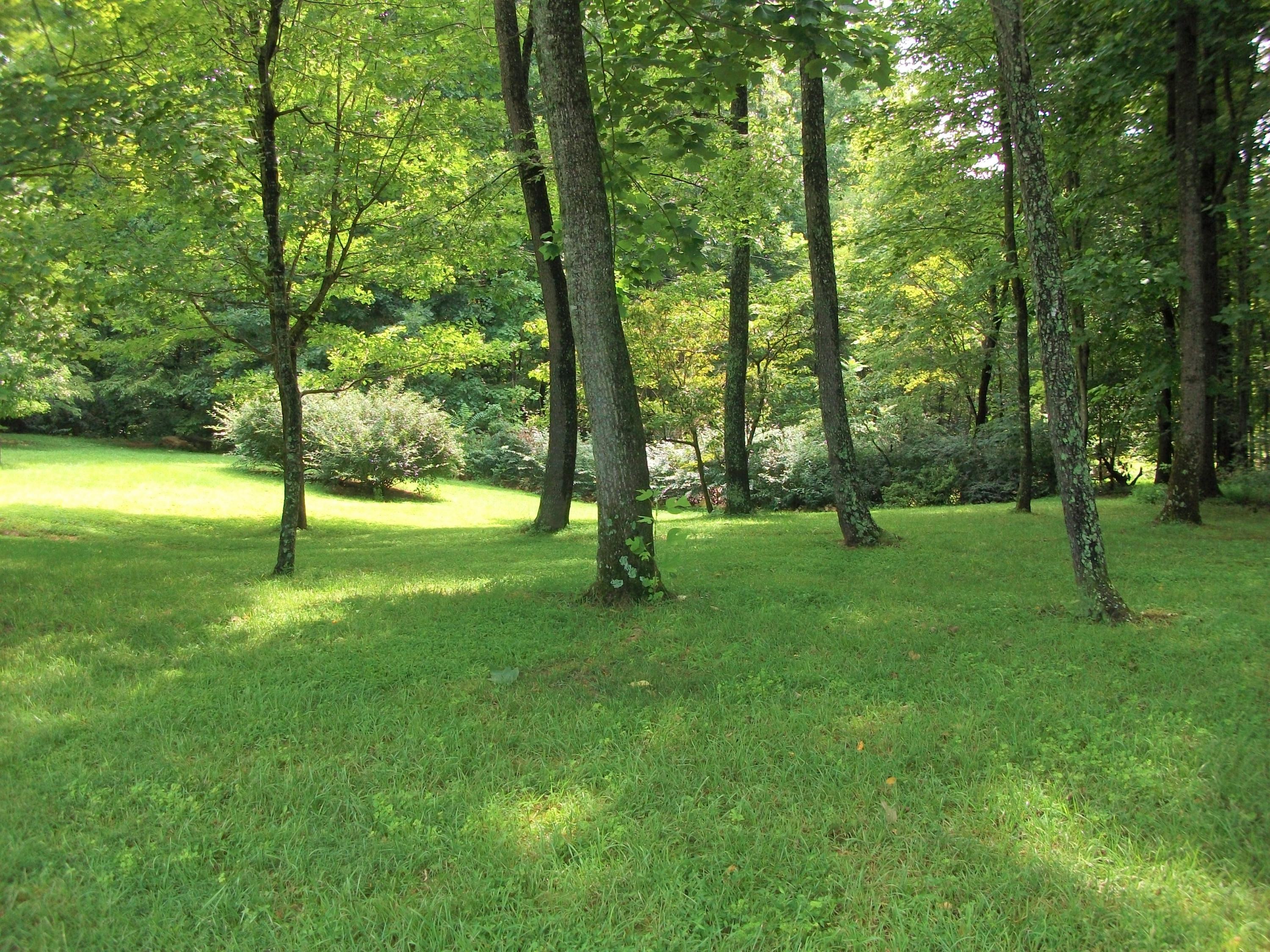 1958 Truevine Road Penhook, VA 24137 - Photo 42 of 45 a view of a trees in a park