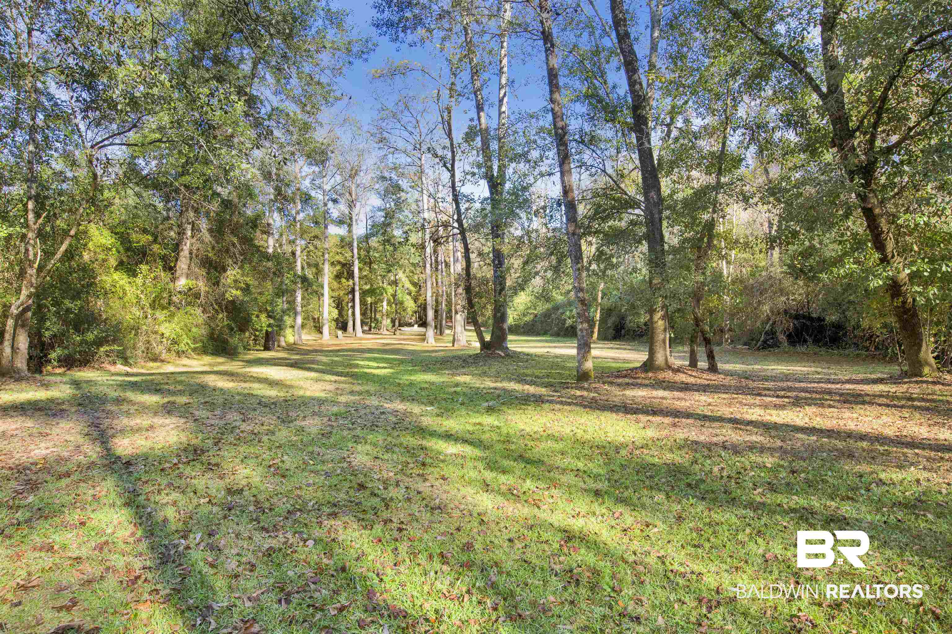 0 Waterworld Road Robertsdale, AL 36567 - Photo 8 of 16 View of yard