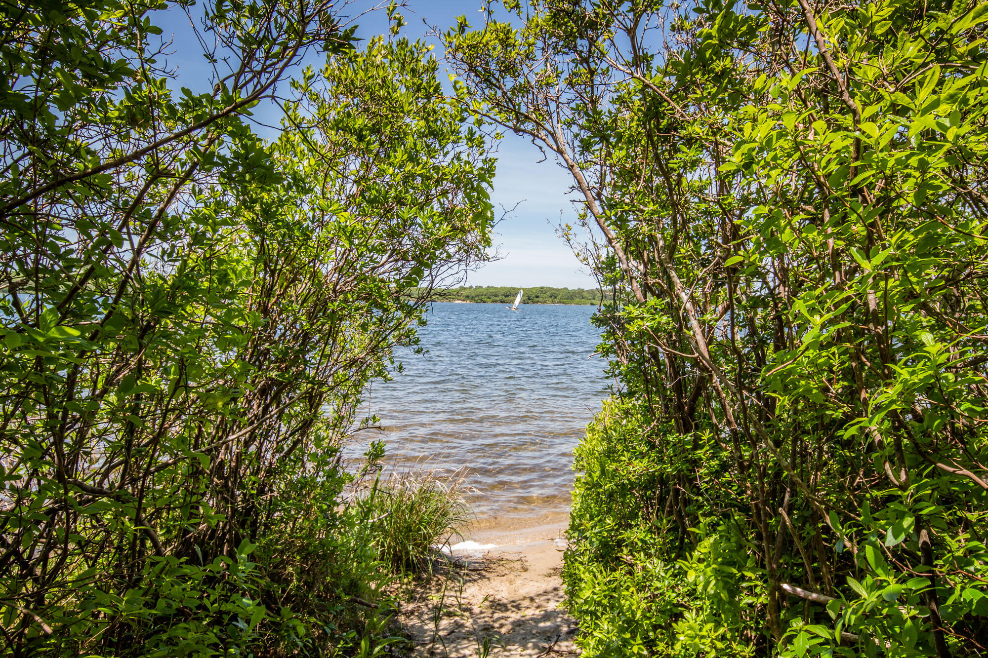 65 Kanomika Road Edgartown, MA 02539 - Photo 45 of 49 65 Kanomika Road (63 of 77)