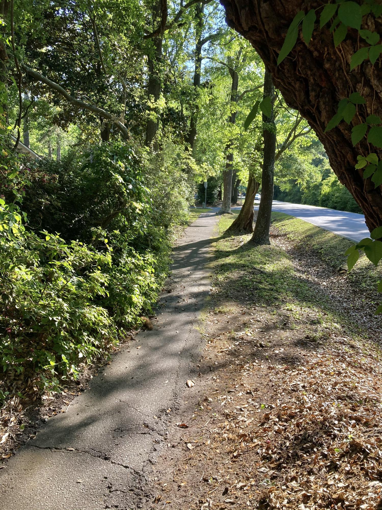 1287 Mathis Ferry Road Mount Pleasant, SC 29464 - Photo 25 of 25 Tim Fitzgerald - 25