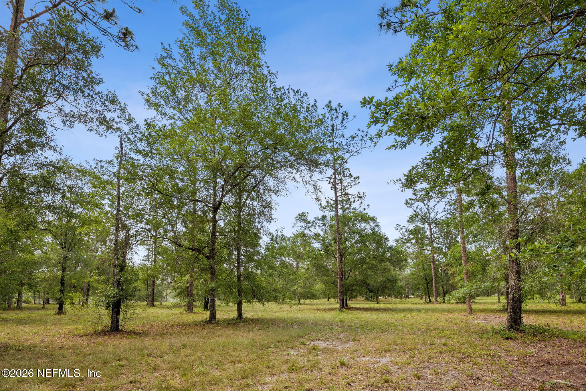 6015 Plantation Court Keystone Heights, FL 32656 - Photo 2 of 16 5-web-or-mls-6015 Plantation Ct-5