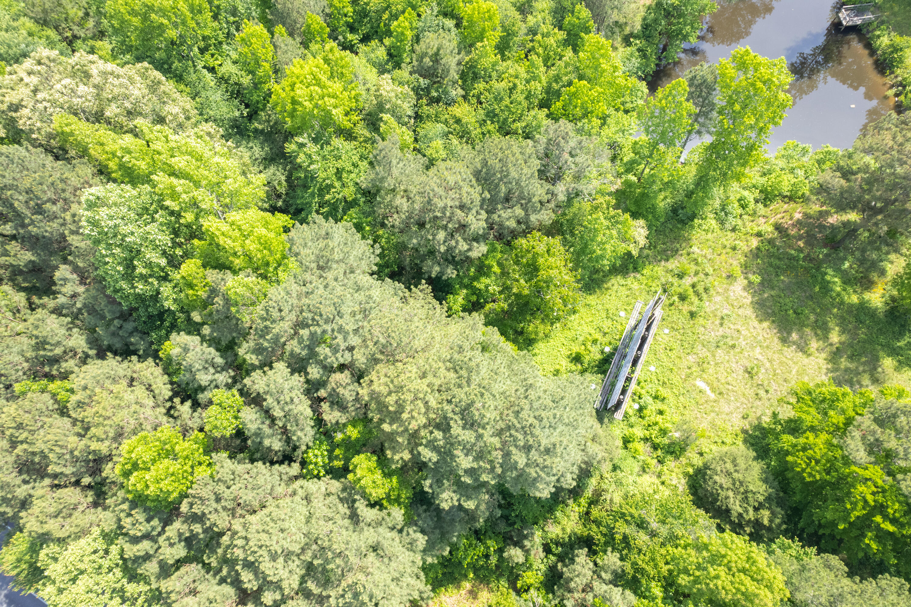 451 Lower Lindsay Springs Road Resaca, GA 30735 - Photo 6 of 10 451 Lower Lindsay Spring Rd-20