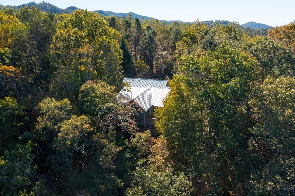 14 Rivendell Way Hayesville, NC 28904 - Photo 57 of 70