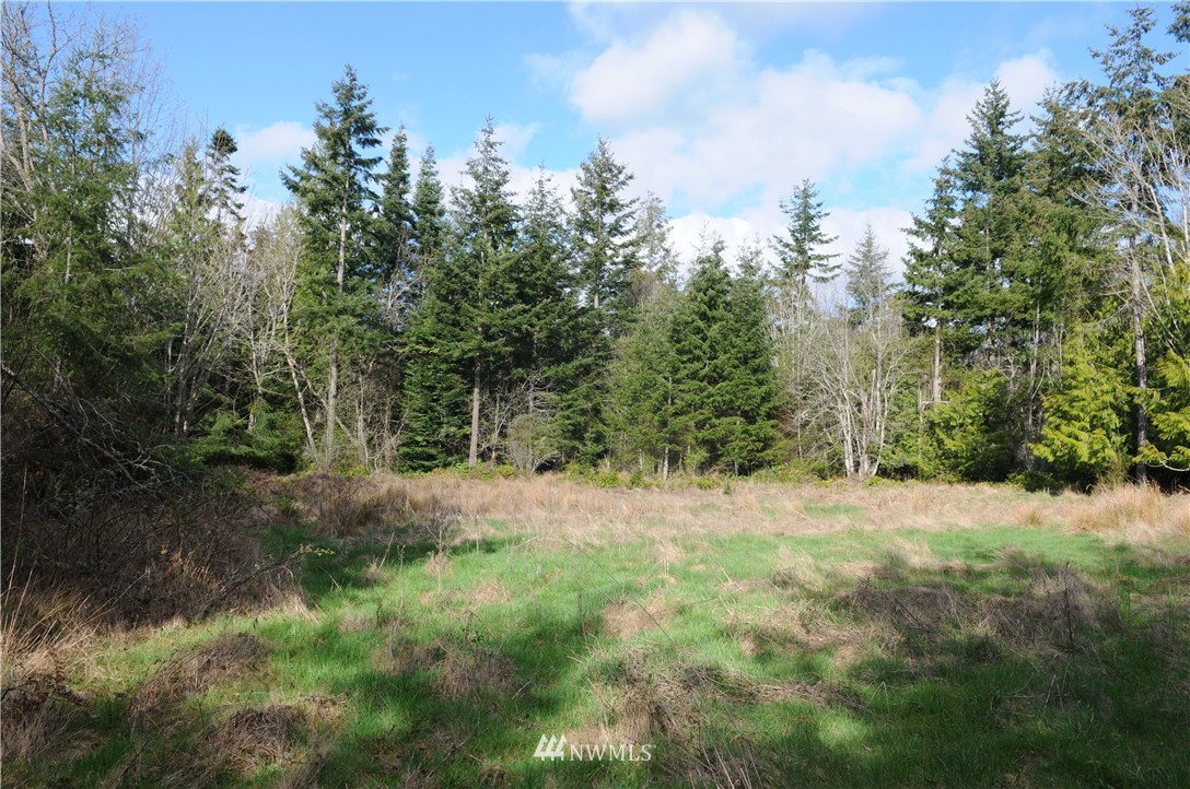 101 Gybe Ho Road Nordland, WA 98358 - Photo 1 of 11 Gallery Image 1