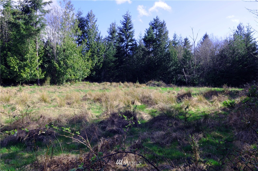 101 Gybe Ho Road Nordland, WA 98358 - Photo 2 of 11 Gallery Image 2