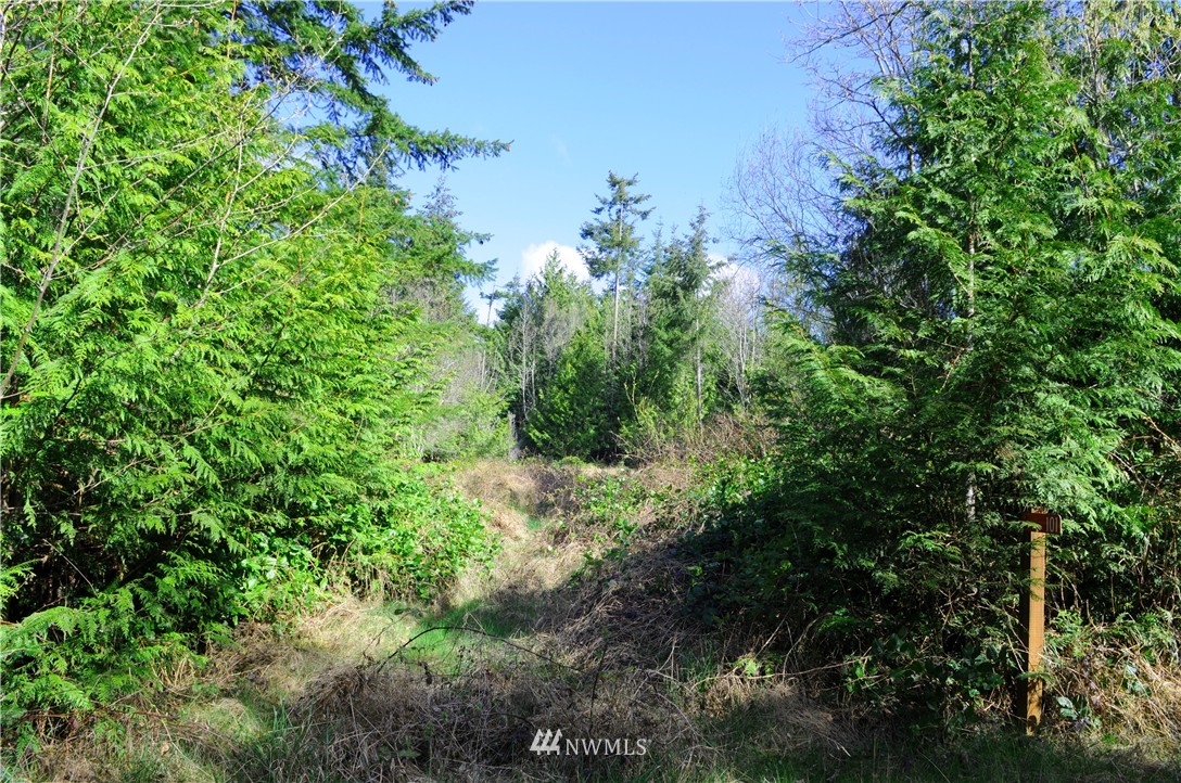 101 Gybe Ho Road Nordland, WA 98358 - Photo 4 of 11 Gallery Image 4