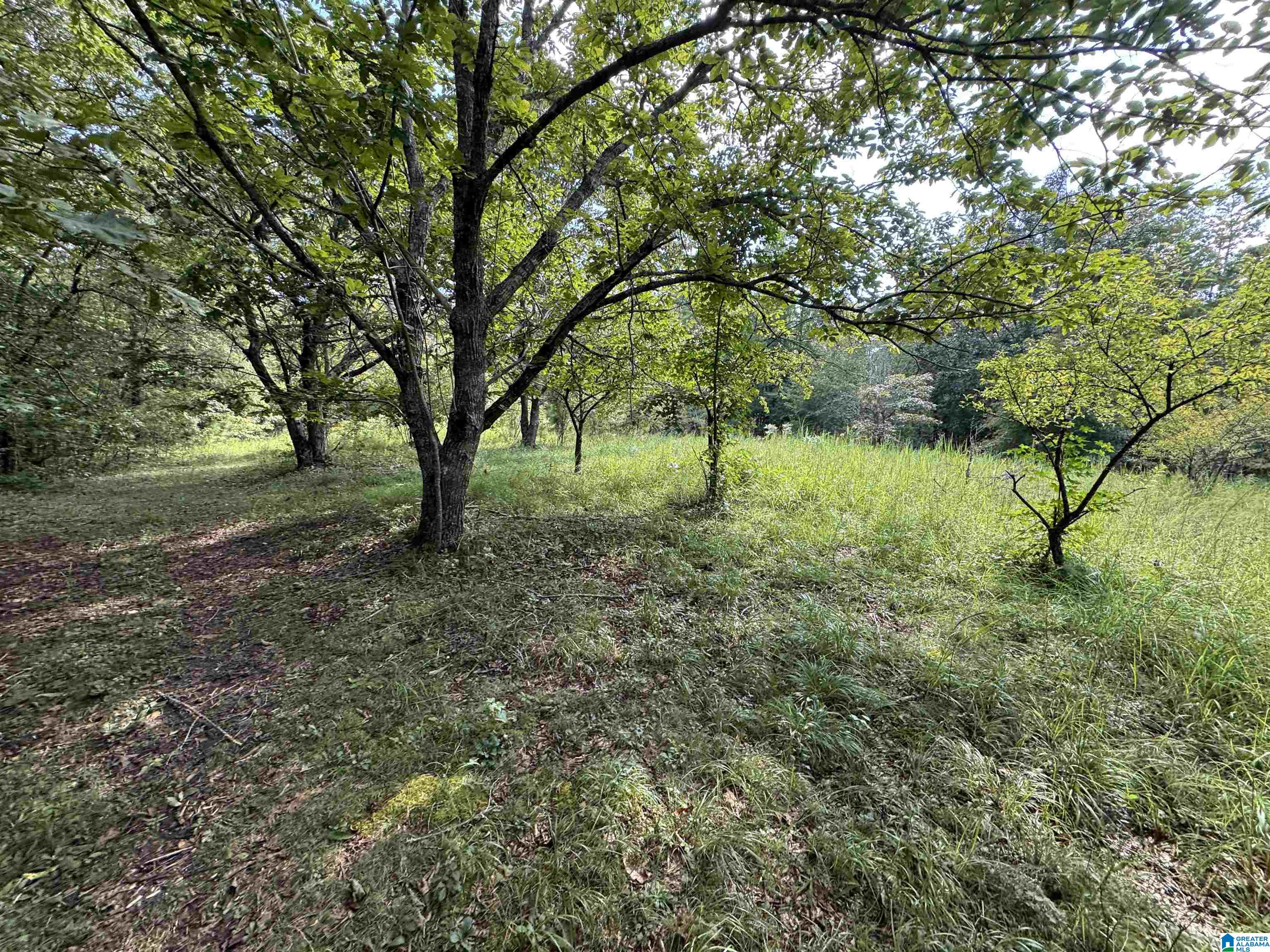 20394 County Road 55 Sterrett, AL 35147 - Photo 28 of 43