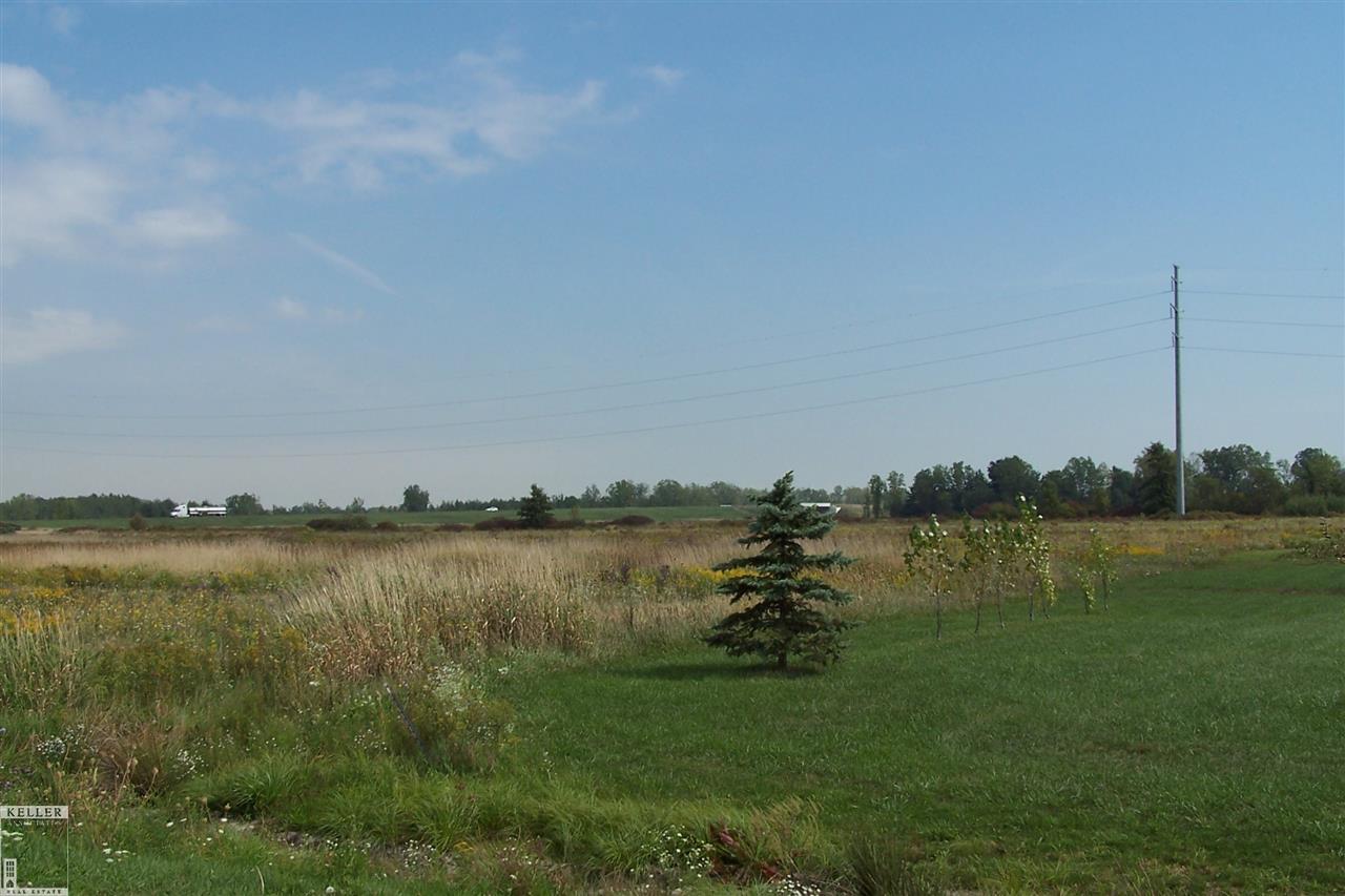 Parcel I-1 Parcel I-1 Ray Lane Imlay City, MI 48444 - Photo 6 of 7