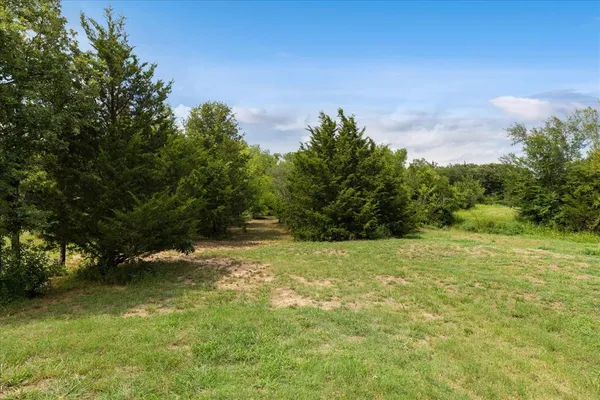 a view of field with large trees