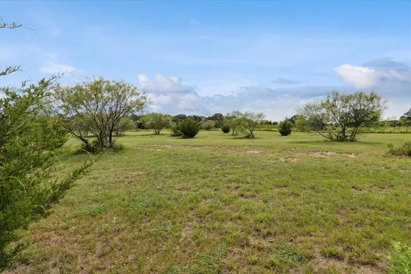 a view of a big yard with plants and large trees