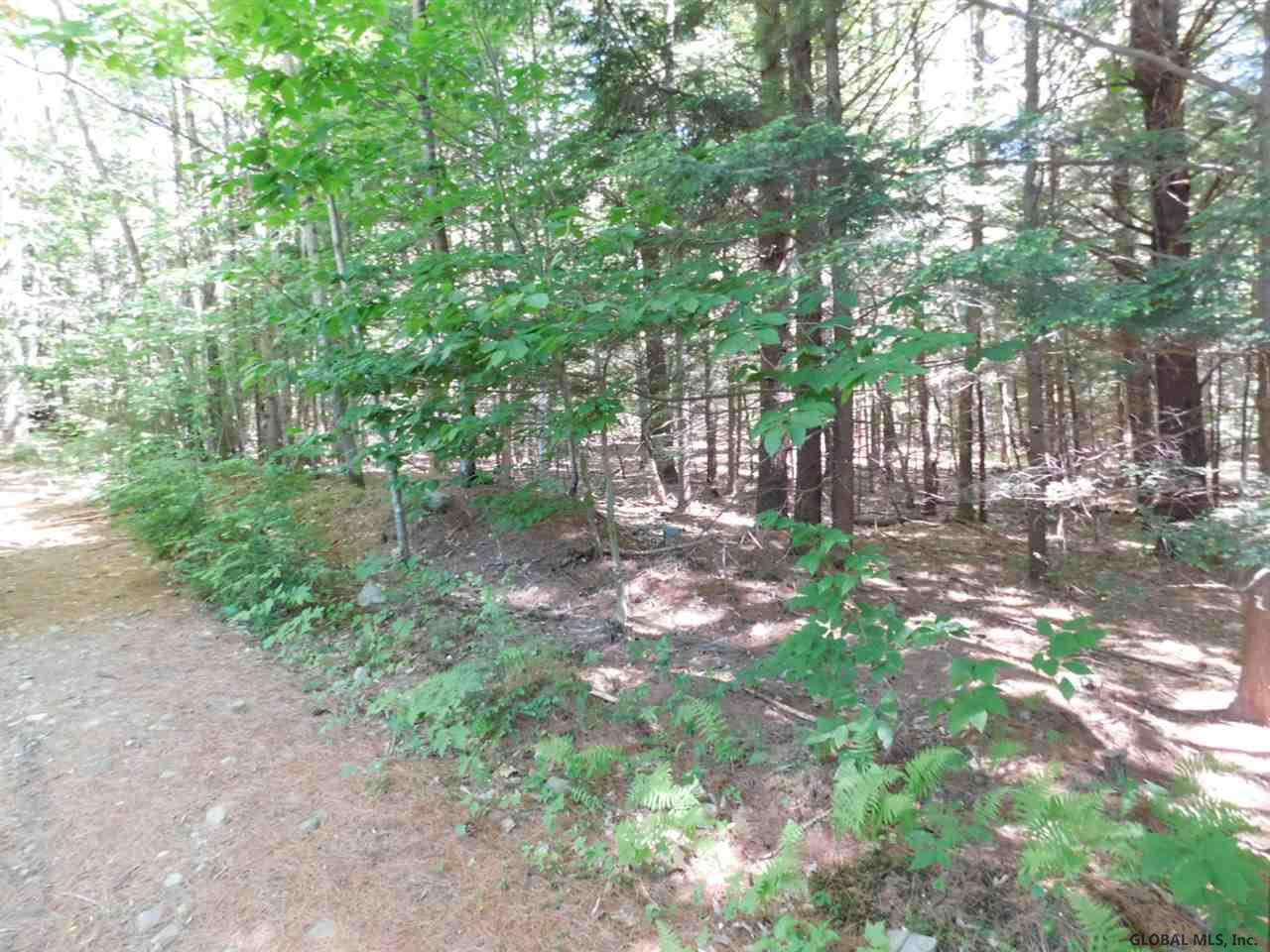 Slicker Road Corinth, NY 12822 - Photo 2 of 10 Photo 2