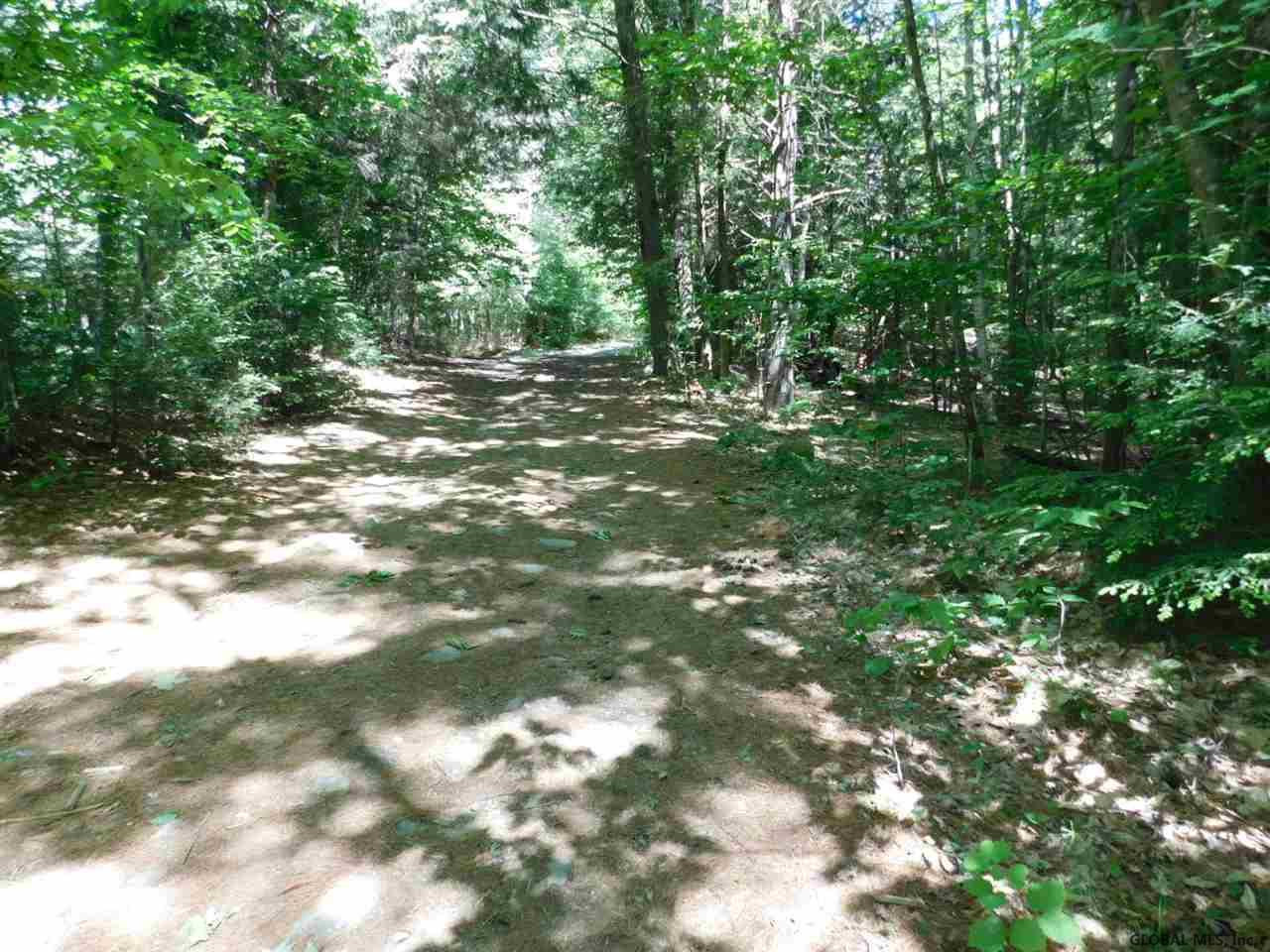 Slicker Road Corinth, NY 12822 - Photo 3 of 10 Photo 3