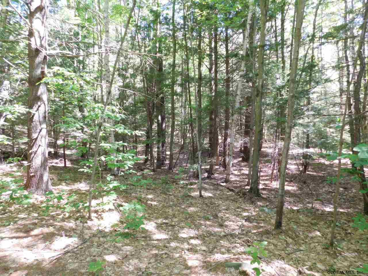 Slicker Road Corinth, NY 12822 - Photo 4 of 10 Photo 4