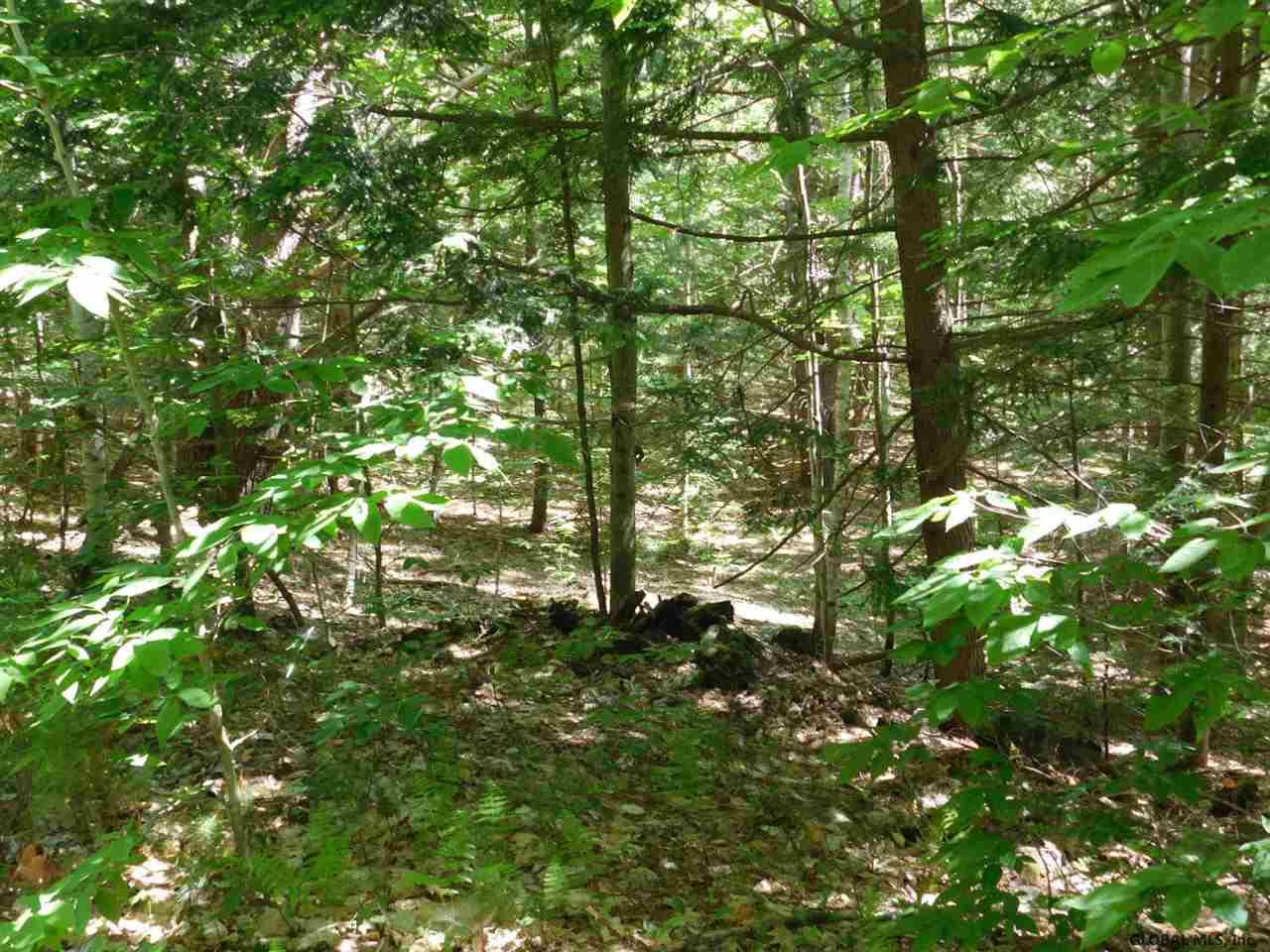 Slicker Road Corinth, NY 12822 - Photo 7 of 10 Photo 7