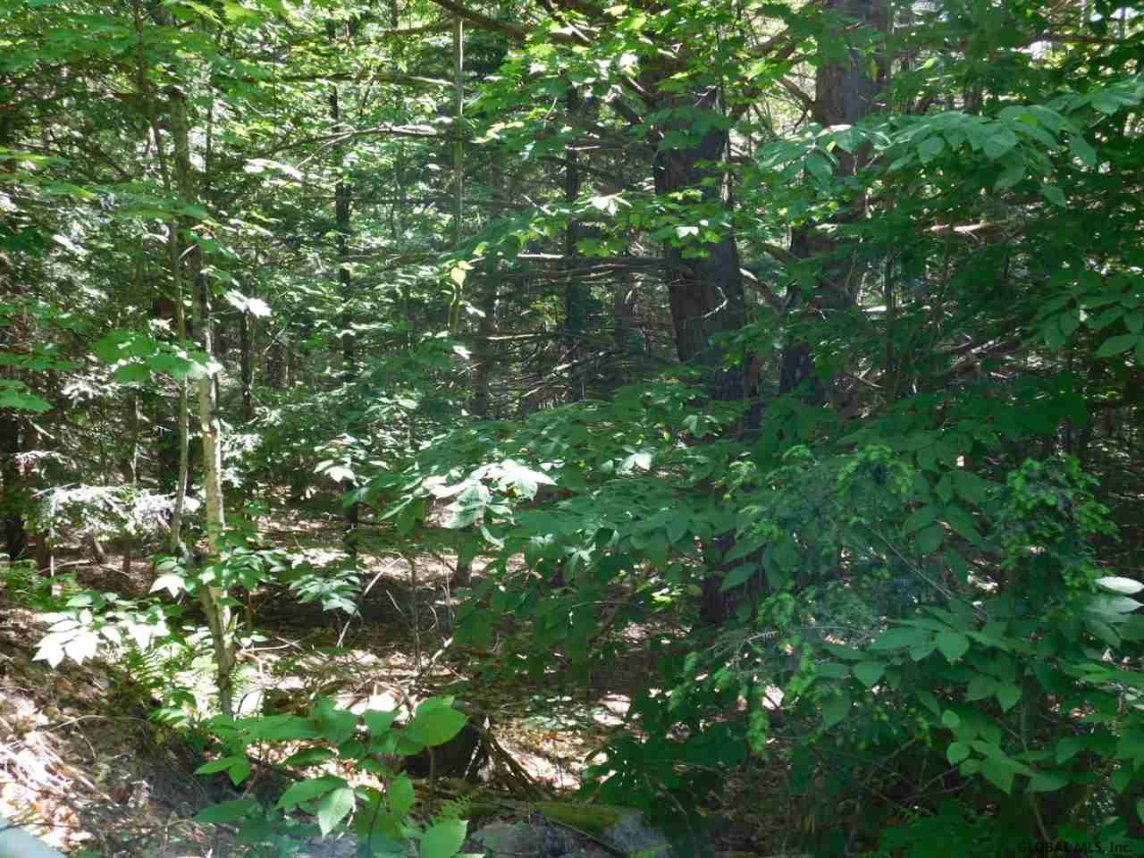 Slicker Road Corinth, NY 12822 - Photo 8 of 10 Photo 8
