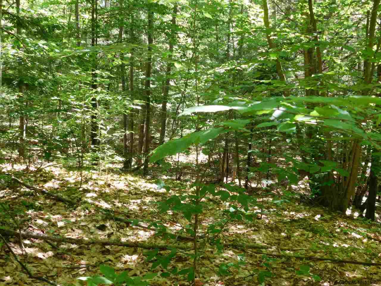 Slicker Road Corinth, NY 12822 - Photo 9 of 10 Photo 9
