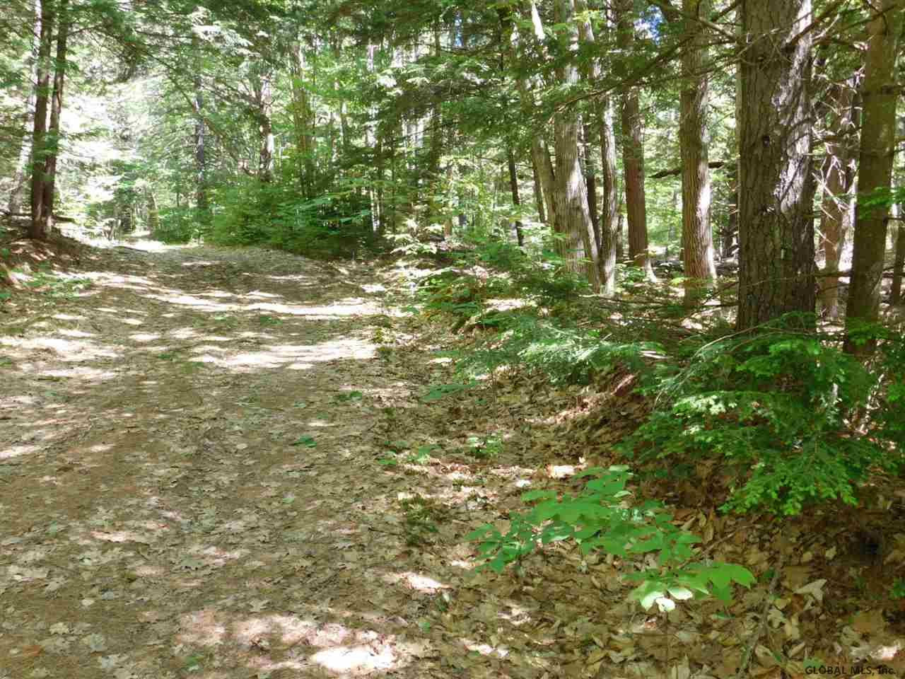 Slicker Road Corinth, NY 12822 - Photo 10 of 10 Photo 10