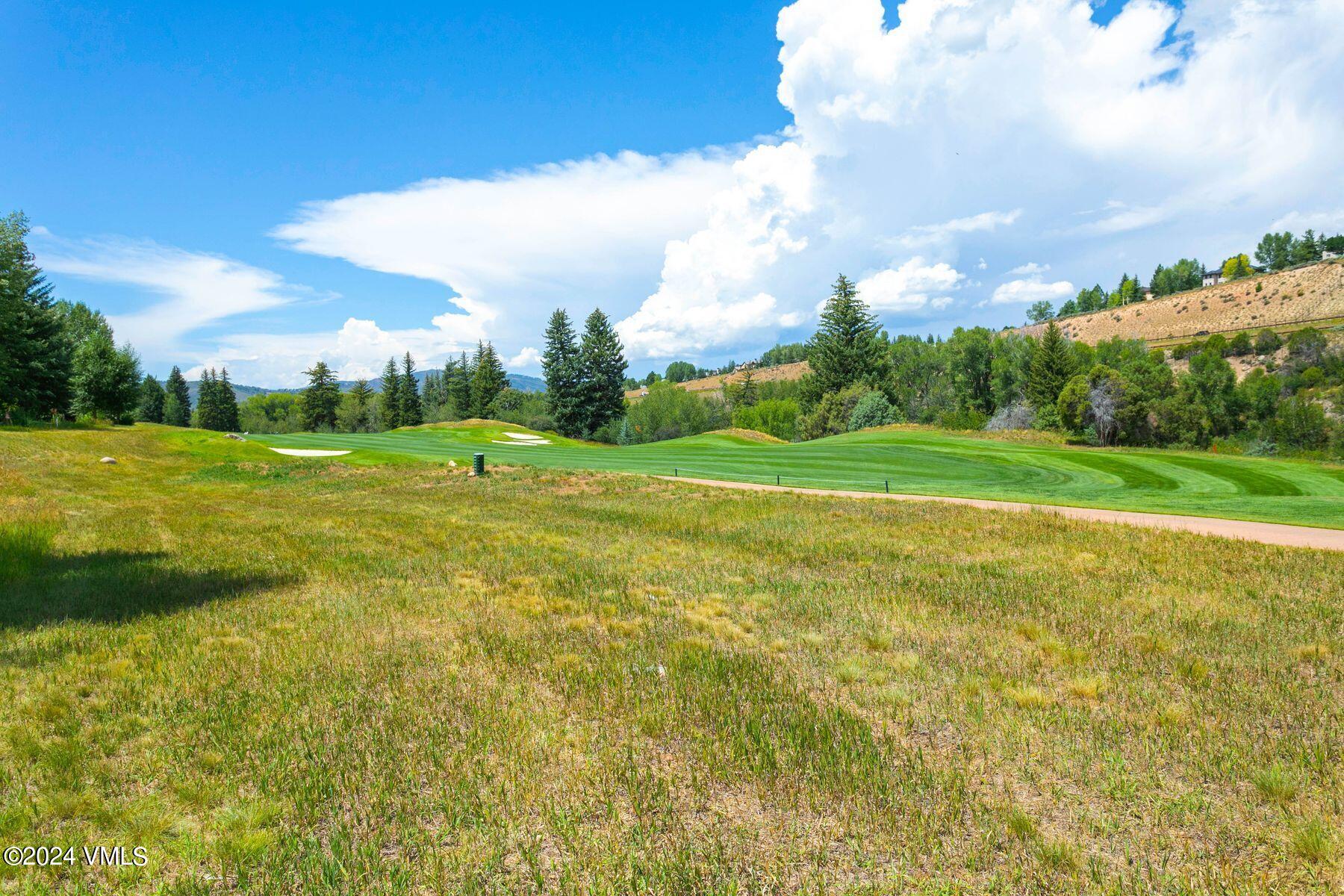 90 Riverbend Court, Unit E Edwards, CO 81632 - Photo 26 of 35 a view of a big yard with a large trees