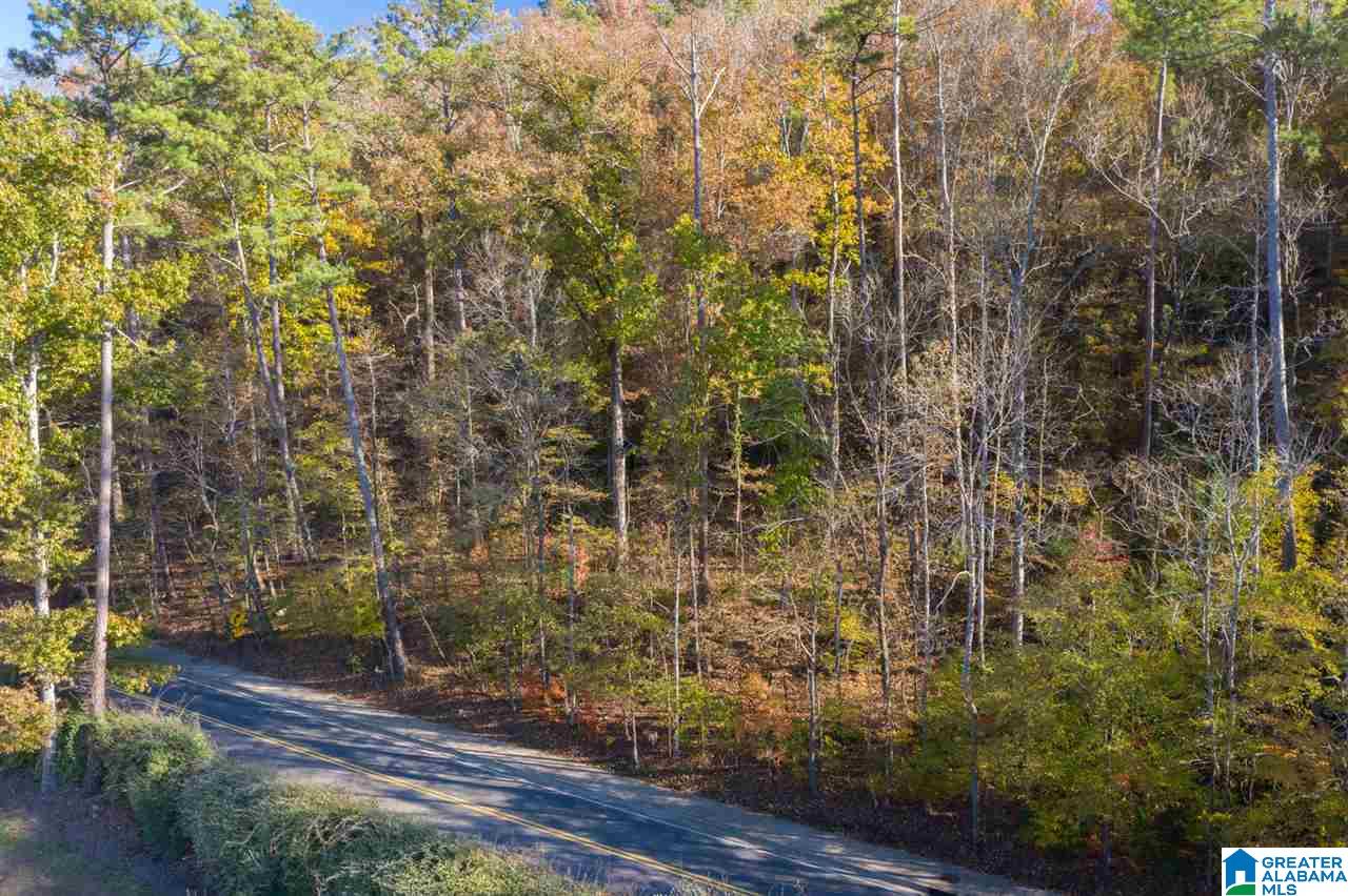 3385 Overbrook Road, Unit 109 Birmingham, AL 35213 - Photo 1 of 36