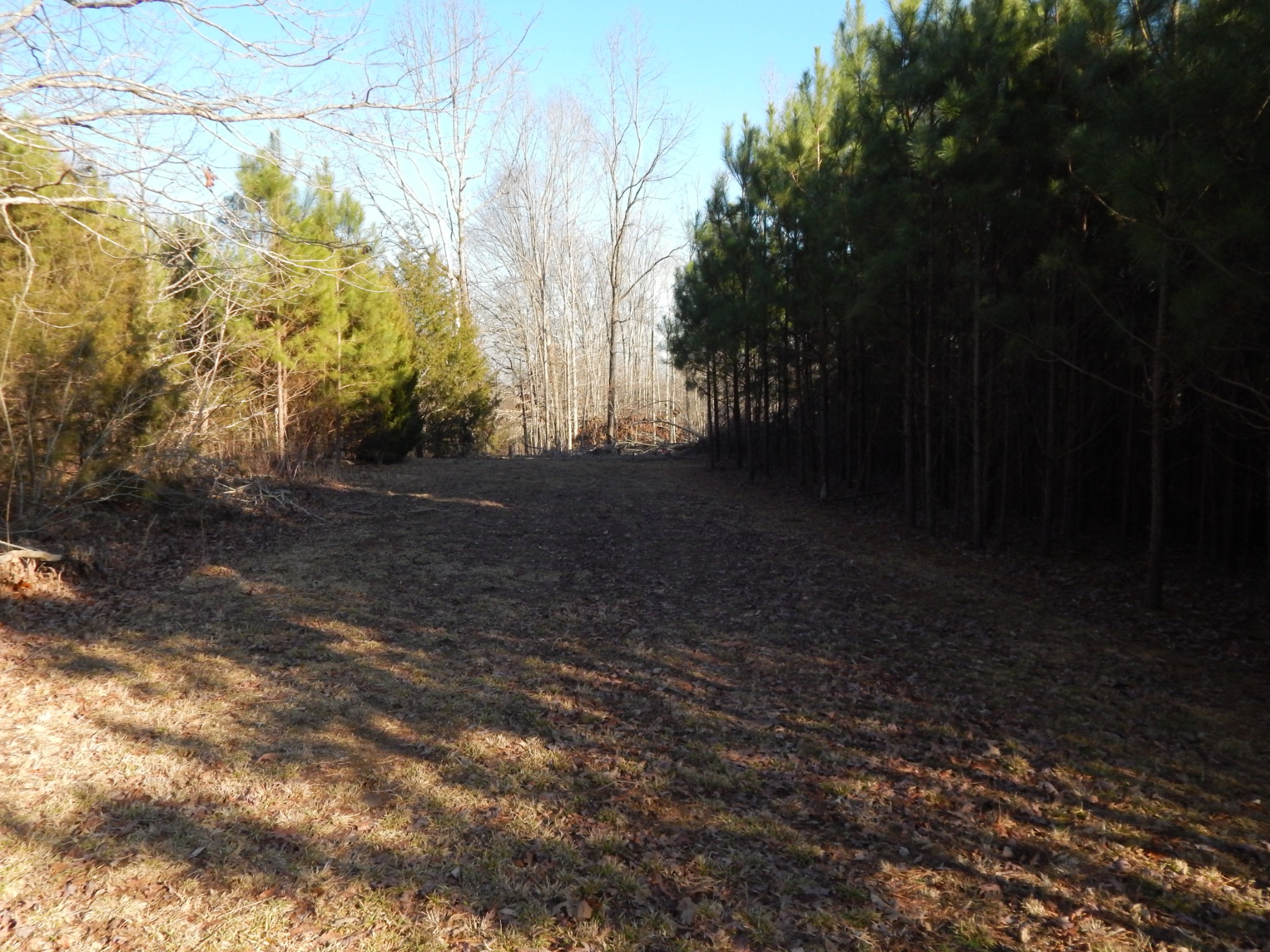 3325 George Olive Road Iron City, TN 38463 - Photo 39 of 42 Gallery Image 39