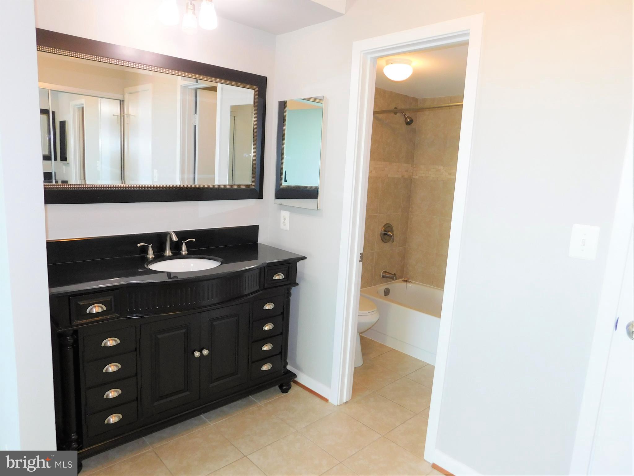 5501 Seminary Road, Unit 1006S Falls Church, VA 22041 - Photo 19 of 31 a bathroom with a sink and a mirror