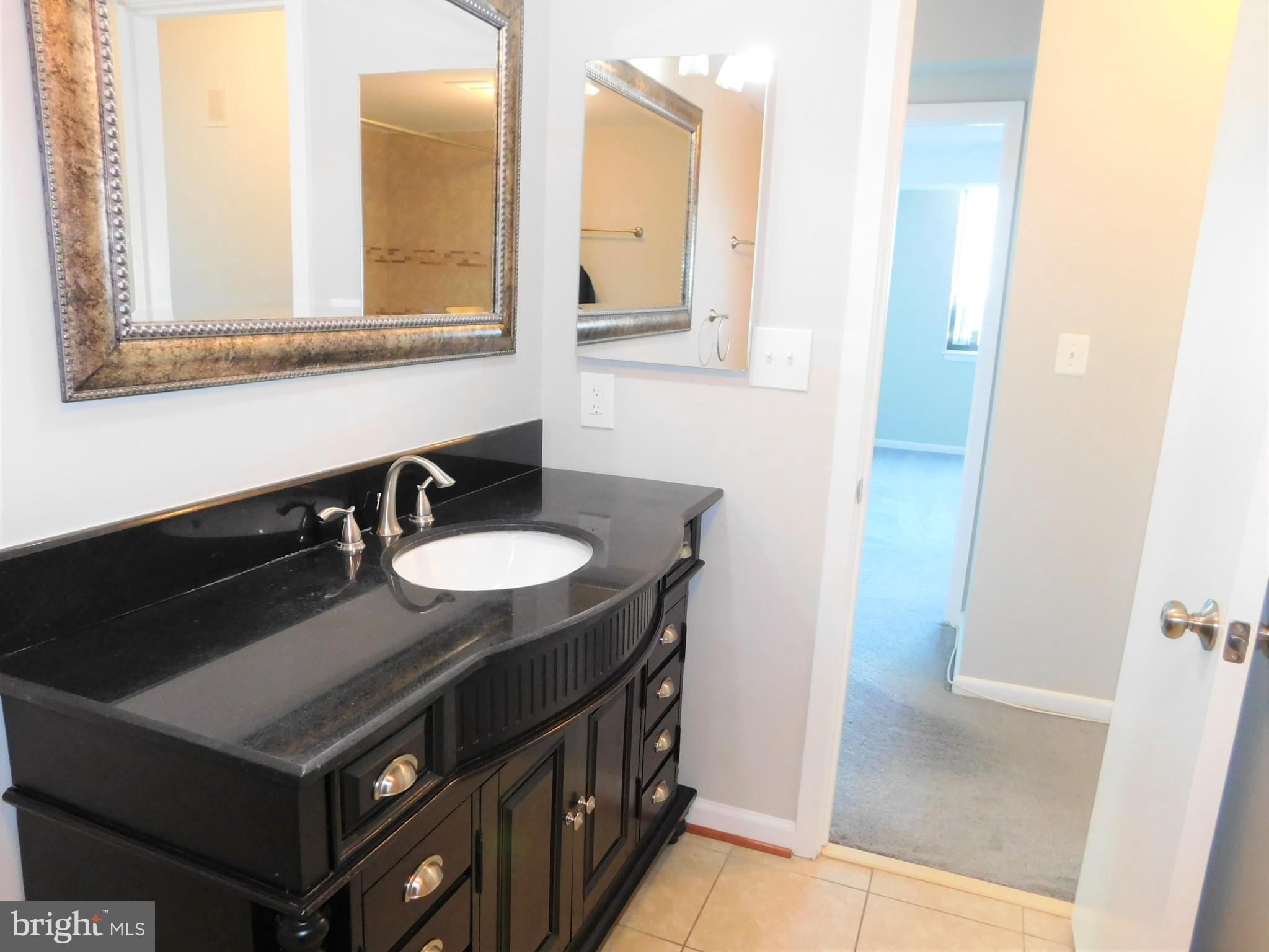 5501 Seminary Road, Unit 1006S Falls Church, VA 22041 - Photo 25 of 31 a bathroom with a sink and a mirror