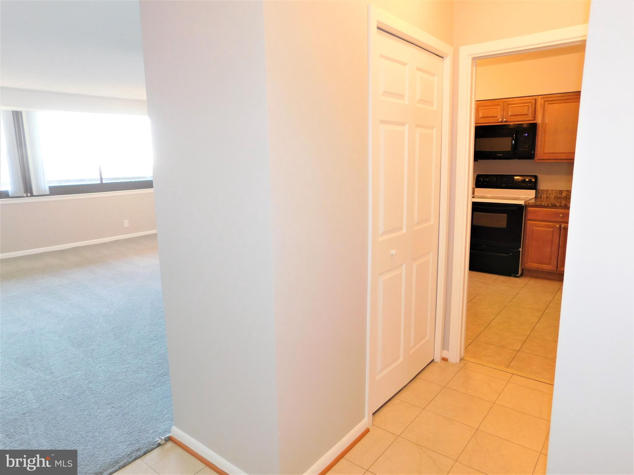 5501 Seminary Road, Unit 1006S Falls Church, VA 22041 - Photo 8 of 31 a view of hallway with a white walls