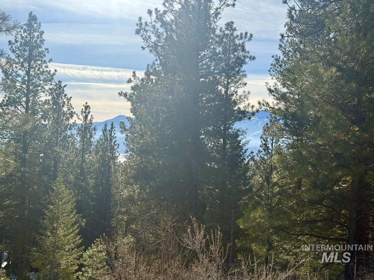 4 Chino Spur Cascade, ID 83611 - Photo 41 of 50