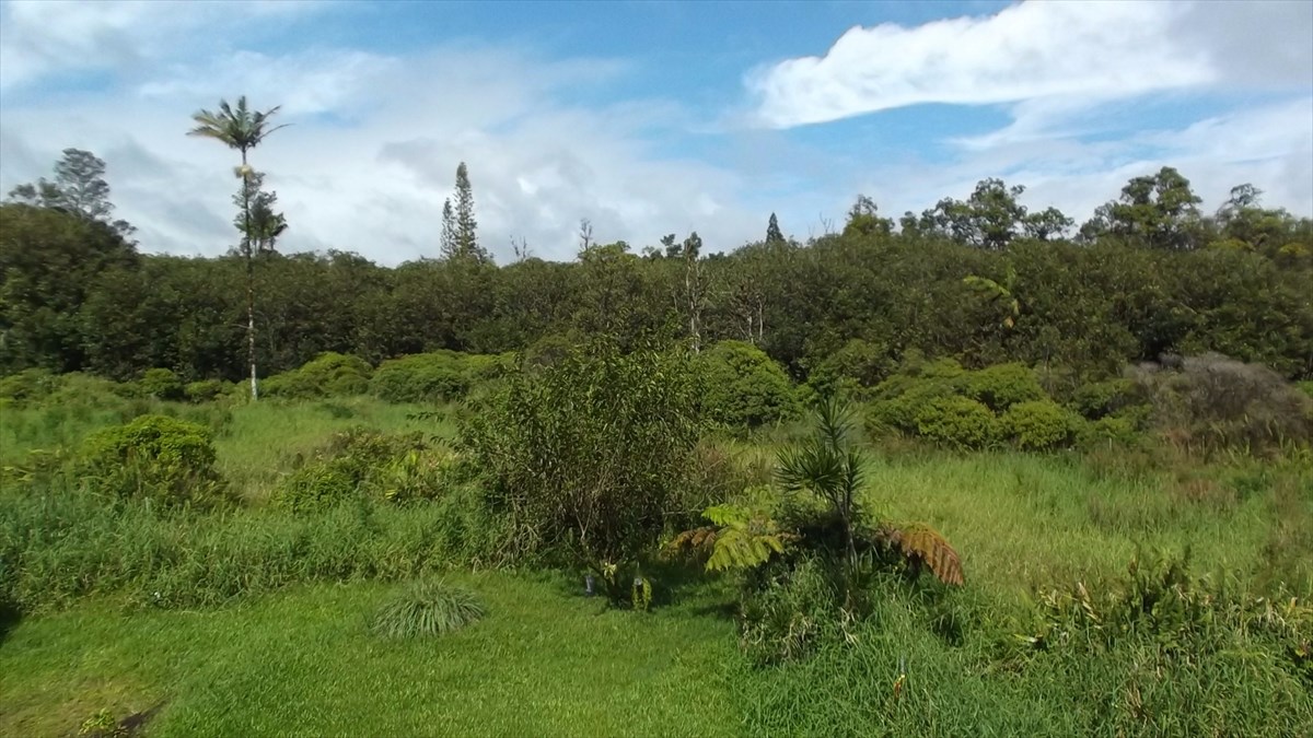 15-9 S Road Pahoa, HI 96778 - Photo 3 of 15 Gallery Image 3