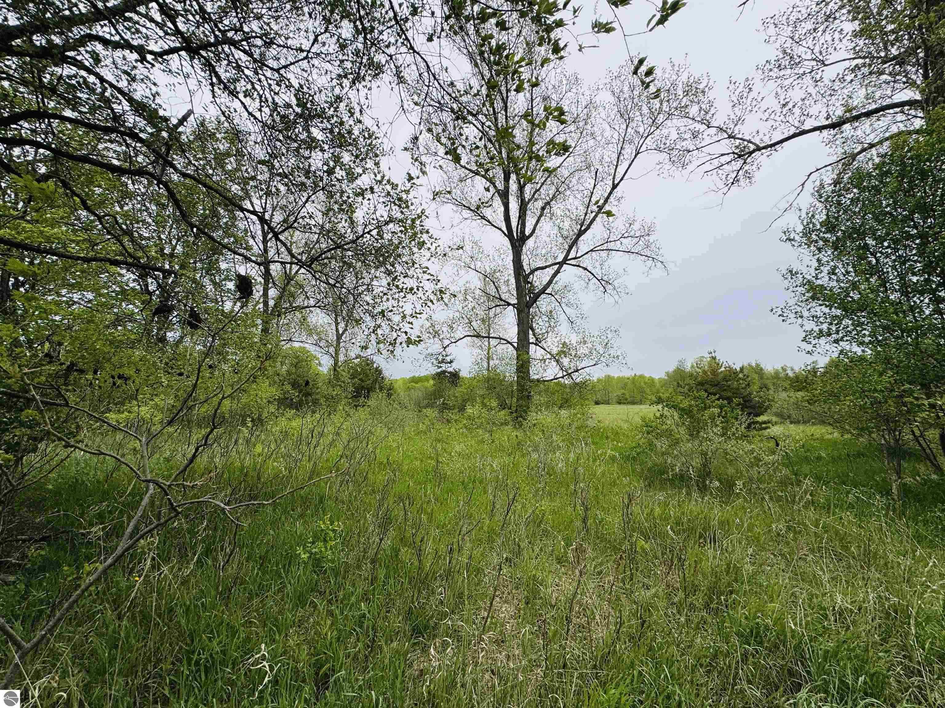 Packingham Road Manton, MI 49663 - Photo 10 of 25