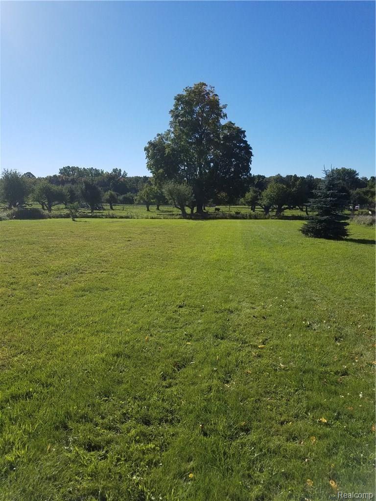 4935 Fisher Road Fort Gratiot, MI 48059 - Photo 10 of 10 yard.jpg