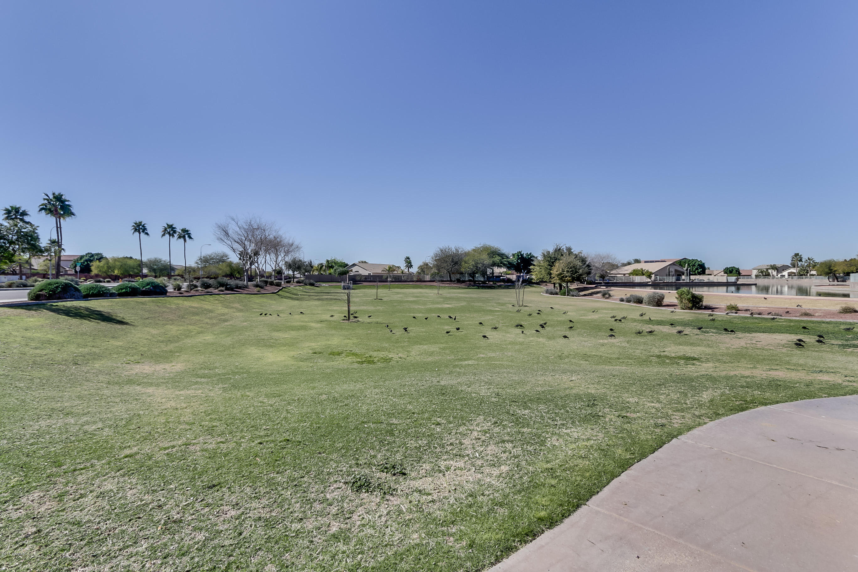 11225 West Monte Vista Road Avondale, AZ 85392 - Photo 50 of 53 Monte Vista-050